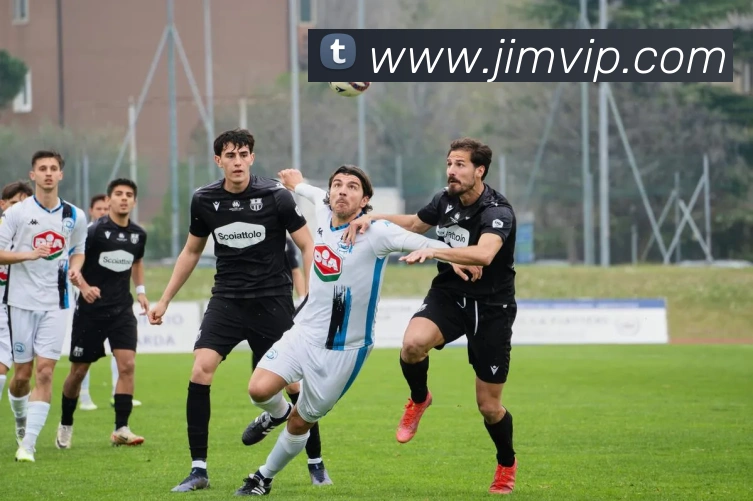 emc易倍官方官网发展历程